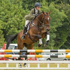 Eventing Chilham
