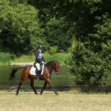 Eventing Chilham