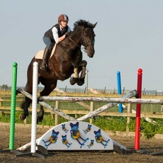 Eventing Chilham