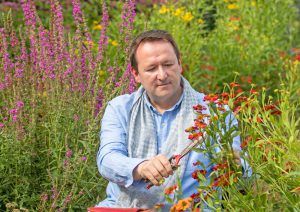 Mark Lane - Garden Designer - Kent
